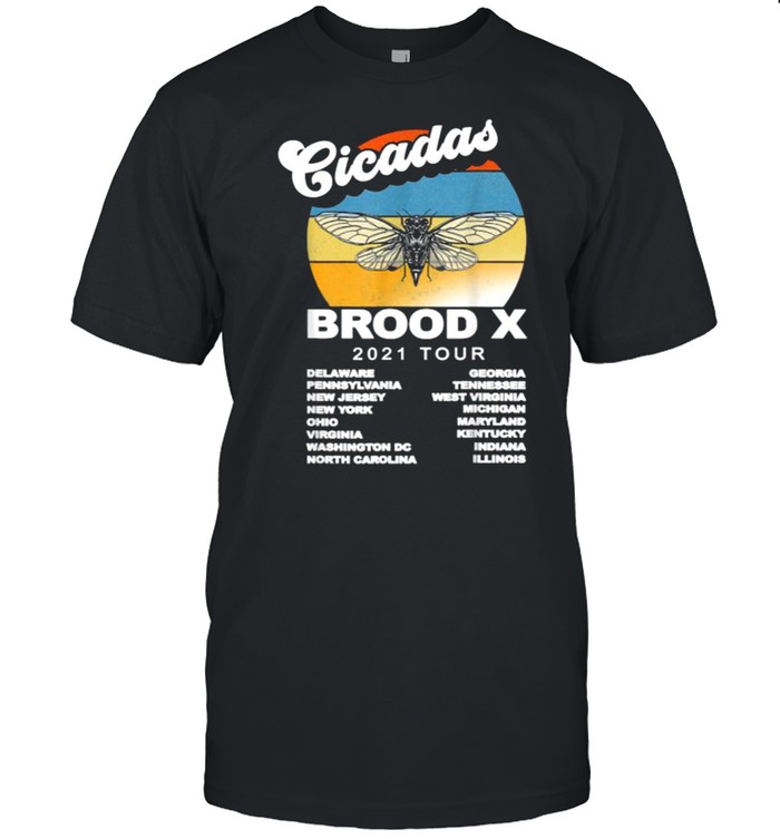 Vintage Cicada Brood X Invasion Summer Tour 2021 T-Shirt