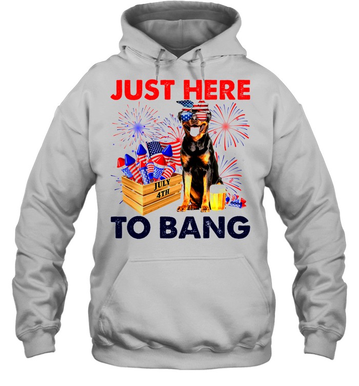 Rottweiler Just Here To Bang American Flag Firework Independence Day 4th Of July shirt Unisex Hoodie
