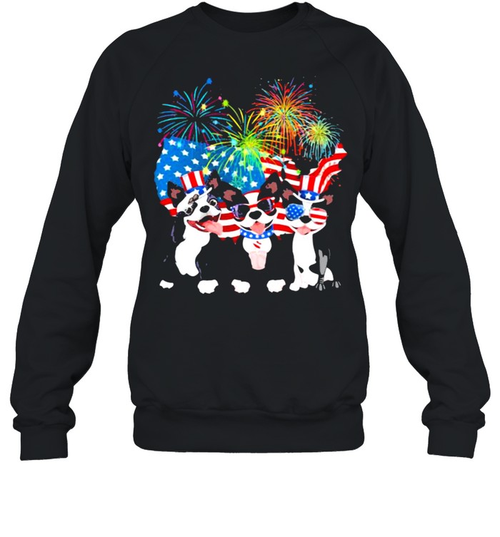 Boston Terrier Independence Day Firework American Flag Unisex Sweatshirt
