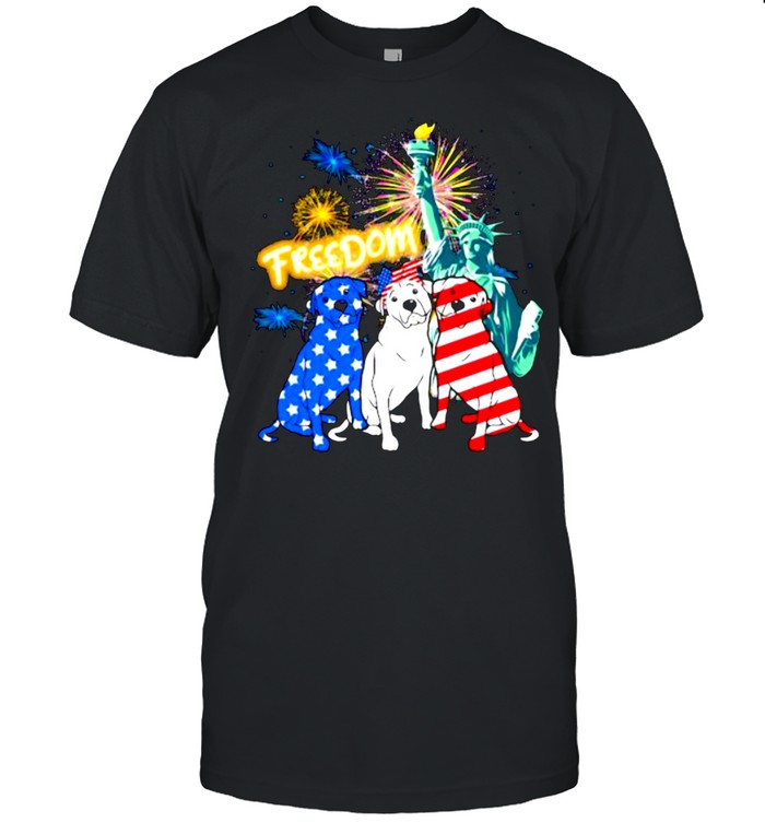 Rottweiler Freedom Liberty American Flag Firework  Classic Men's T-shirt