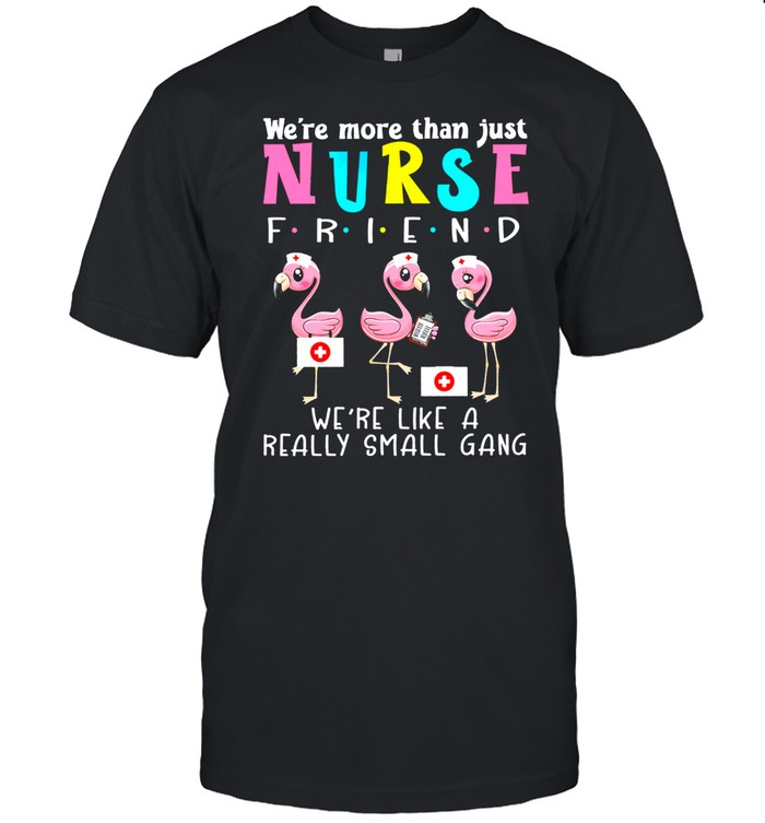 Flamingos Were More Than Just Nurse Friend Were Like A Really Small Gang shirt