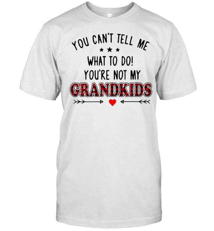 You Can’t Tell Me What To Do You’re Not My Great Grandkids Love Arrow T-Shirt